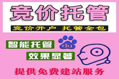 某电商平台的SEM推广实践与效果展示